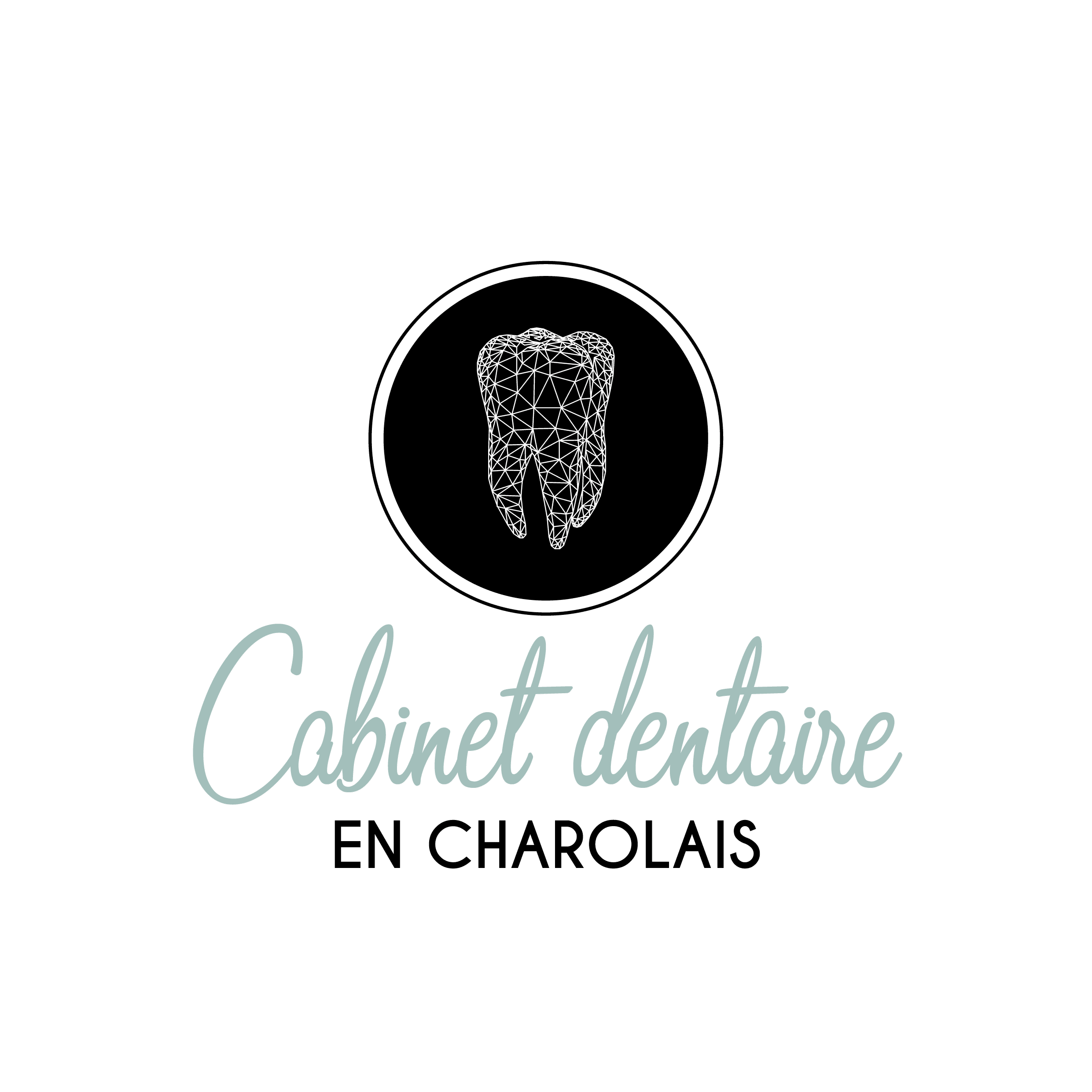 Bérénice C Graphiste Inhographiste Webdesigner Artiste Créatrice PAO Logotype - Logo Cabinet Dentaire en Charolais - vecto