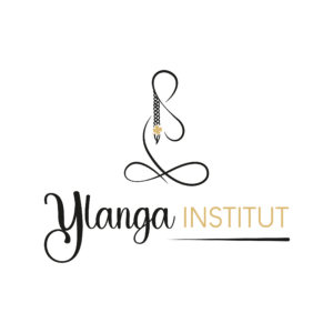 Bérénice C Graphiste Inhographiste Webdesigner Artiste Créatrice PAO Logotype - Logo Ylanga Institut